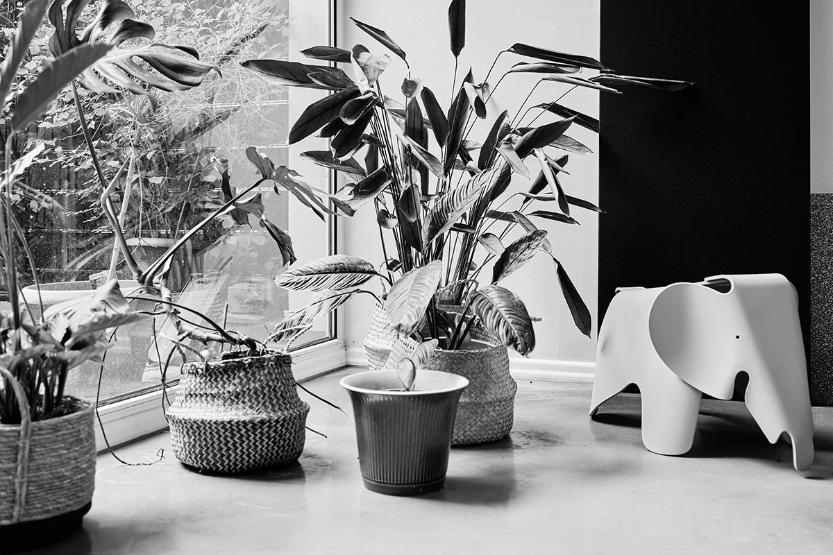 BRAWO_Profil_Buerofoto_Cosy-Ecke